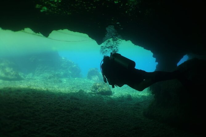 Cozumel Scuba Dive at Chankanaab - What you’ll actually see: caves, sculptures, and reef life