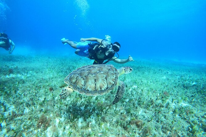 Cozumel Scuba Dive at Chankanaab - Safety and instruction: how the guides keep it calm