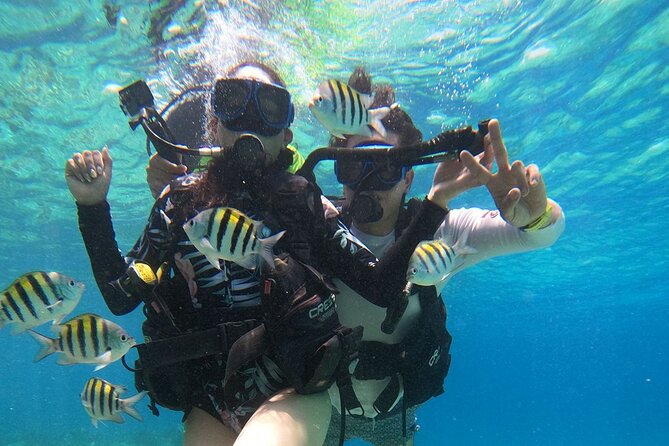 Cozumel Scuba Dive at Chankanaab - Beach time, lockers, and the free drink after your underwater swim