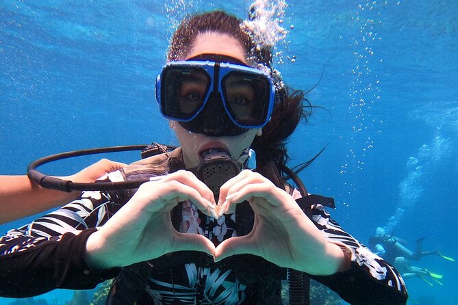 Cozumel Scuba Dive at Chankanaab - Price and value: what $85 covers, and what to budget next