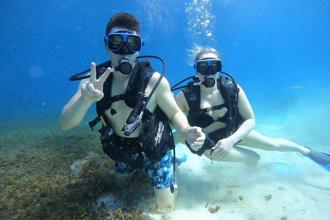 Cozumel Scuba Dive at Chankanaab - Who this is best for in Cozumel
