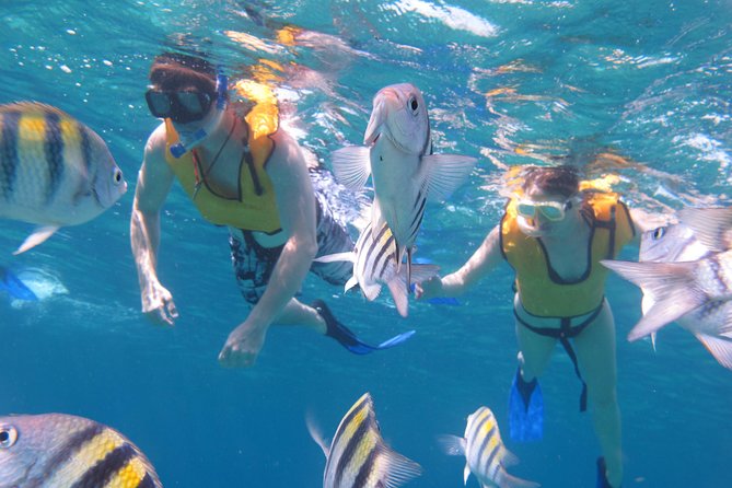 Cozumel Shore Excursion: Playa Uvas Private Beach Pass - Kayaking Time: Clear Water, But Let Weather Coach You