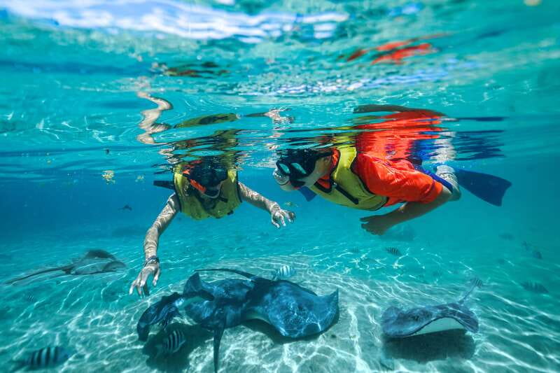 Cozumel: Snorkel and Swim with Stingrays - The coral reef installation with 800 rescued coral: more than a photo prop