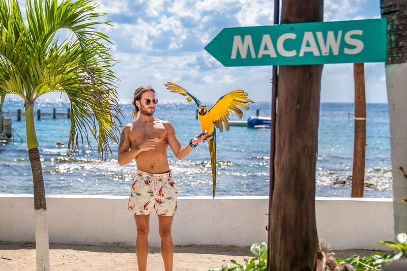 Cozumel: Snorkel and Swim with Stingrays - Who this suits best, and who should skip it