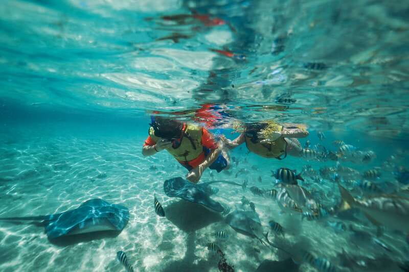 Cozumel: Snorkel and Swim with Stingrays - Safety briefing and included gear: what you get and what to bring