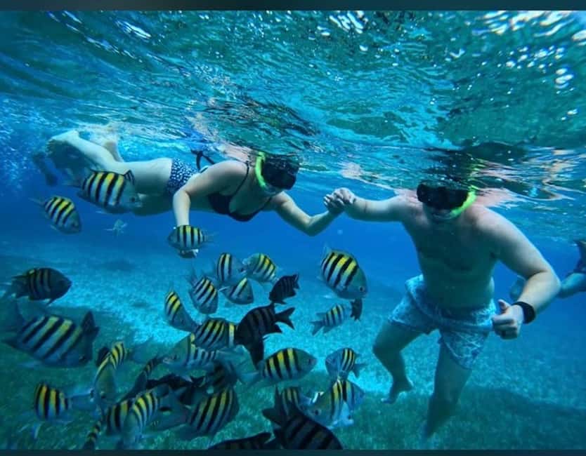 Cozumel: snorkeling on reefs + visit to "El Cielo" - Key things to know before you go