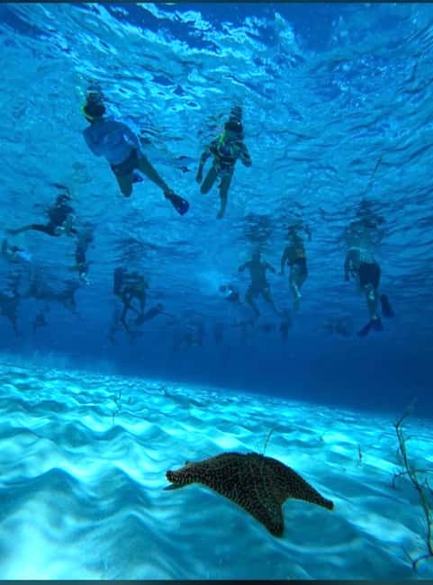 Cozumel: snorkeling on reefs + visit to "El Cielo" - Why this 4-hour Cozumel combo works so well