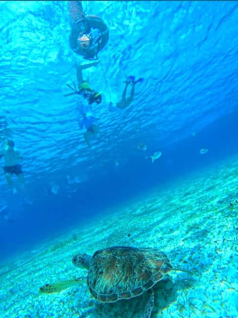 Cozumel: snorkeling on reefs + visit to "El Cielo" - Landing at Palancar Reef: coral variety and a real safety briefing