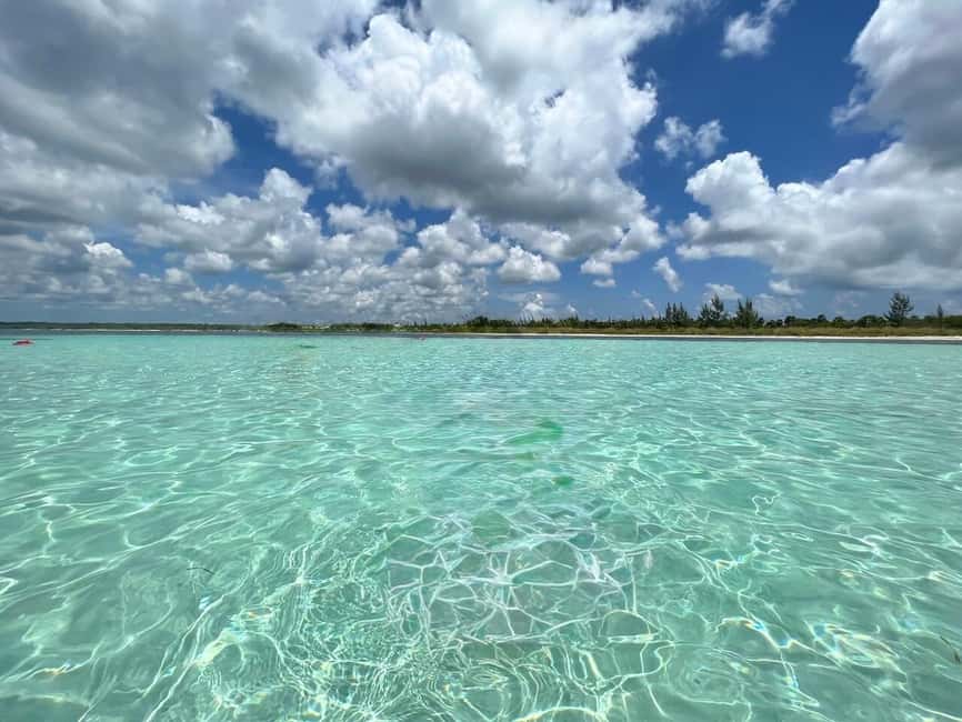 Cozumel: snorkeling on reefs + visit to "El Cielo" - Columbia Reef: tunnels, coral formations, and the turtle-and-parrotfish angle