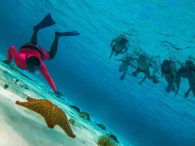 Cozumel: snorkeling on reefs + visit to "El Cielo" - El Cielo sandbar: starfish viewing plus a manta-ray chance