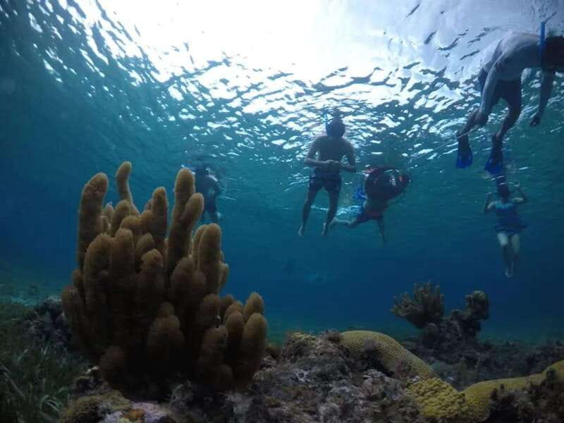 Cozumel: snorkeling on reefs + visit to "El Cielo" - Who should book, and who should skip it