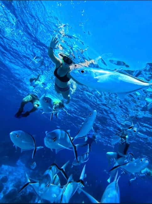 Cozumel: snorkeling on reefs + visit to "El Cielo" - Price and logistics: the 600 pesos balance matters