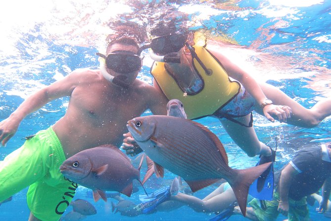 Cozumel Snorkeling Tour at Palancar & Colombia Reefs and El Cielo - Stop-by-stop: what each reef is best at