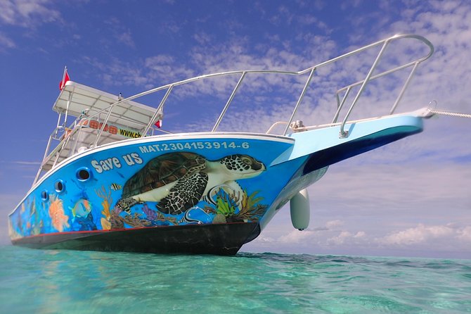 Cozumel Snorkeling Tour at Palancar & Colombia Reefs and El Cielo - Onboard: glass-bottom views, cushioned seats, and the snack-and-sip rhythm