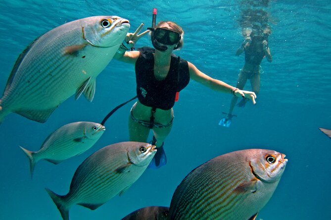 Cozumel Snorkeling Tour: Palancar, Columbia and El Cielo Reefs - Key highlights worth caring about