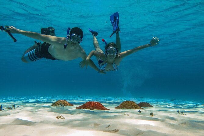 Cozumel Snorkeling Tour: Palancar, Columbia and El Cielo Reefs - Cozumel Reef Snorkeling: What This Tour Does Differently