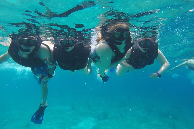 Cozumel Snorkeling Tour: Palancar, Columbia and El Cielo Reefs - Palancar Reef: Your First Real Taste of Cozumel Marine Life