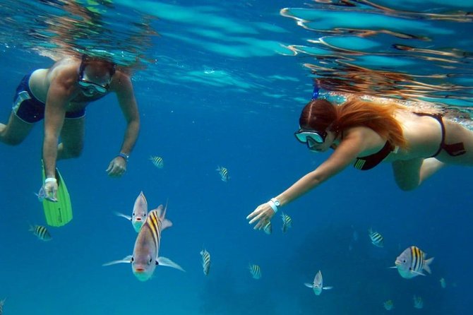 Cozumel Snorkeling Tour: Palancar, Columbia and El Cielo Reefs - Staying Comfortable: Snacks, Drinks, and the Pace Between Stops