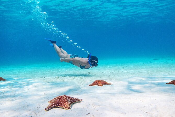 Cozumel Starfish and Tropical Reef Snorkeling by Powerboat with Lunch - What the lunch and snacks add to the day