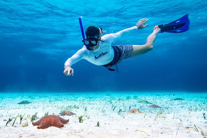 Cozumel Starfish and Tropical Reef Snorkeling by Powerboat with Lunch - Weather and conditions: plan like a realist