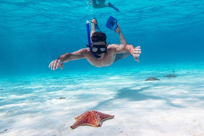 Cozumel Starfish and Tropical Reef Snorkeling by Powerboat with Lunch - The reef snorkeling plan: multiple spots and guided wildlife time