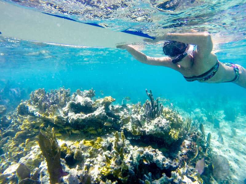 Cozumel: West Coast E-Bike and Snorkeling Tour - Cozumel West Coast E-Bikes, from Check-In to Bike Track