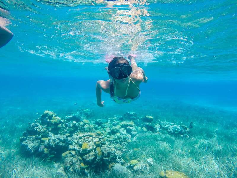 Cozumel: West Coast E-Bike and Snorkeling Tour - Mayan Botanical Garden: A Short, Useful Culture Break