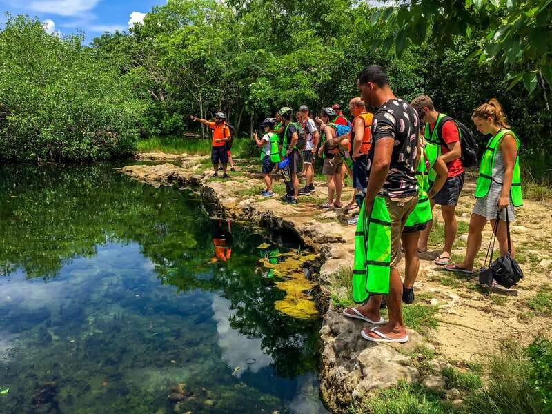 Cozumel: West Coast E-Bike and Snorkeling Tour - The Cenote Stop: Underground River Scenery and Nature Facts