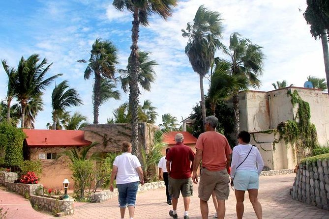 Cultural & Ecology, Nature & History of the hidden towns of Southern Baja! - Buena Vista: thermal waters, the Old General Olachea hacienda story, and that oasis feeling