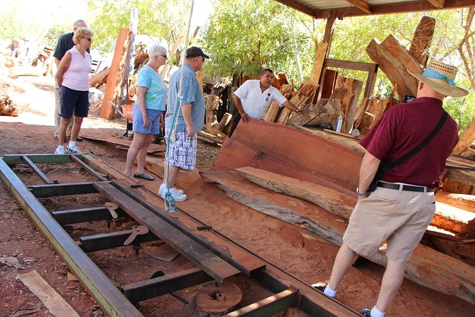 Cultural & Ecology, Nature & History of the hidden towns of Southern Baja! - Los Barriles: lunch that actually tastes good, plus a chance to breathe