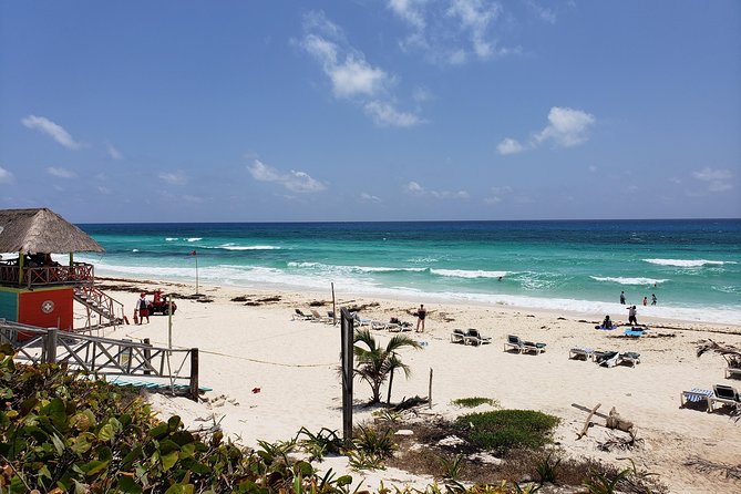 Customizable Private Buggy Tour in Cozumel with Lunch and Snorkel - Price and value for a 5-hour private day at $79