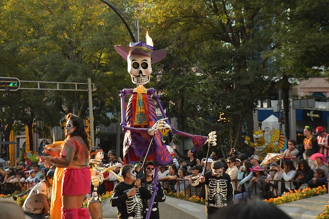 Day of the Dead Tour in Mexico City - Xochimilco at night: mariachi on the water and chinampas