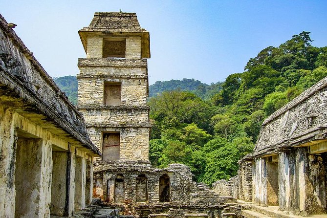 Day Trip to Agua Azul Waterfalls and Palenque from San Cristobal - Food, drinks, and the restaurant stops you should plan for