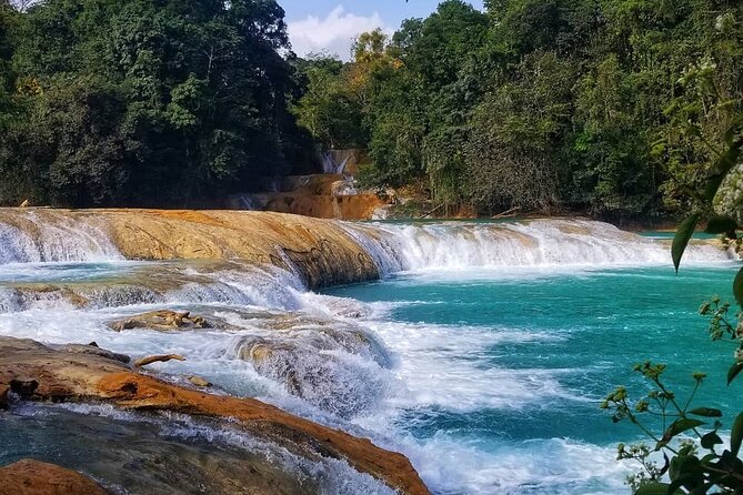 Day Trip to Agua Azul Waterfalls and Palenque from San Cristobal - Who this tour fits best