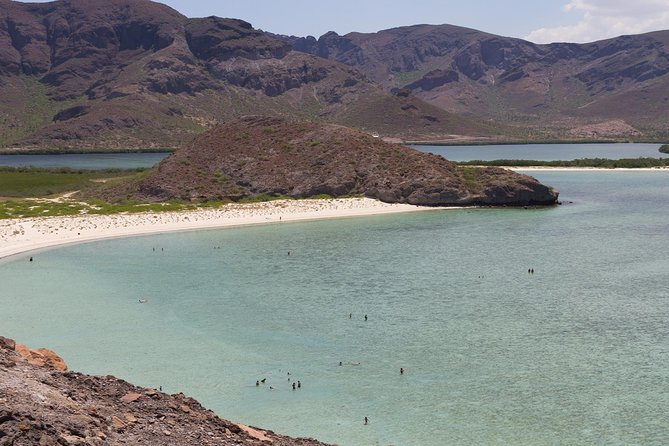 Day Trip to La Paz & Balandra Beach from Cabo San Lucas - La Paz Malecón on foot: where the city looks like it belongs on a postcard