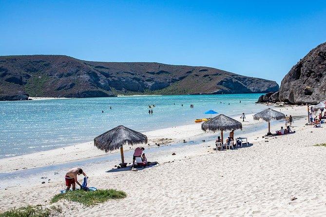 Day Trip to La Paz & Balandra Beach from Cabo San Lucas - The drive to La Paz: Tropic of Cancer, mining towns, and coastal viewpoints