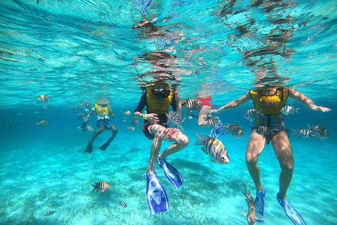 Deluxe Catamaran to Isla Mujeres with Open Bar from Cancun - Price and fees: what $38.90 really means