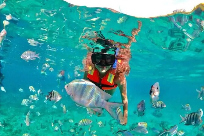 Deluxe Catamaran to Isla Mujeres with Open Bar from Cancun - Who should book, and who should skip this catamaran day