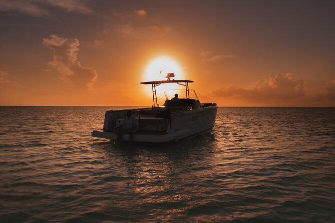Deluxe Private Boats - 36 ft Fjord - Premium Drinks and Lunch That Actually Feels Like Lunch