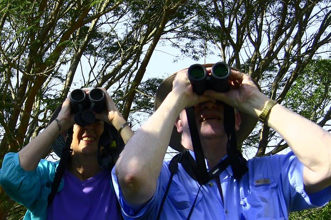 Desembocada and Ameca River Bird Paradise (Wetland and Tropical birds in PV) - The checklist truth: you’ll probably spot more than you expected