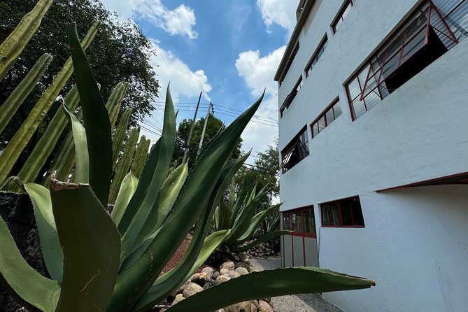 Diego Rivera Frida Kahlo Studio House Tour - How the Timing Works, and Why Small Groups Help