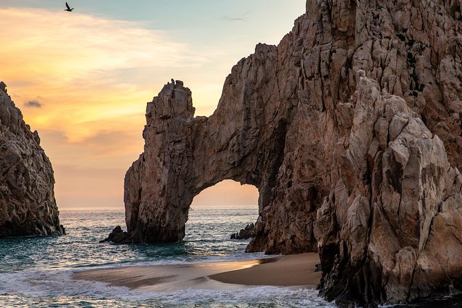 Dinner Cruise Tour in Cabo San Lucas with Tequila Tasting - Who should book this Cabo dinner cruise with tequila tasting