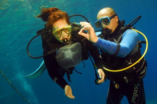 Discover Scuba - Key things to know before you book