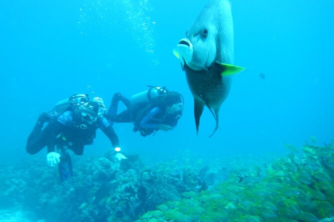 Discover Scuba - Safety, health checks, and who this is not for