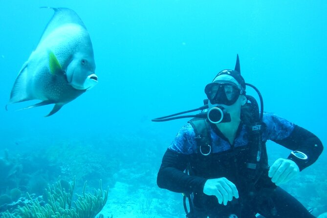 Discover Scuba - Price and value: $140 for a guided try-out, not a full course