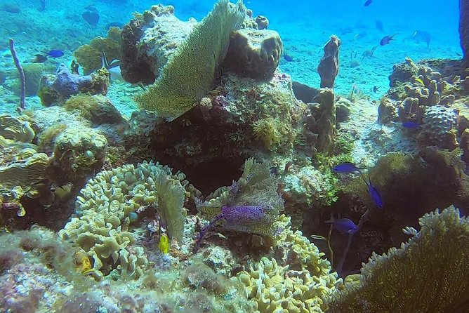 Discover Scuba Diving - Gear is included, but weights are the make-or-break detail