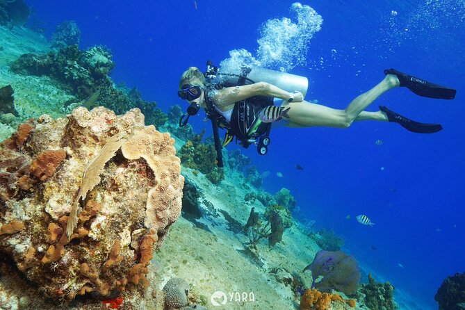 Discover Scuba Diving - The planned flow: practice first, then reef time off Tikila Beach