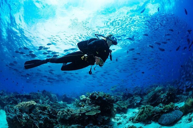 Discover Scuba Diving & Beach Club with Transportation In Riviera Maya - Maroma Beach Time: Facilities and a Real Vacation Feel