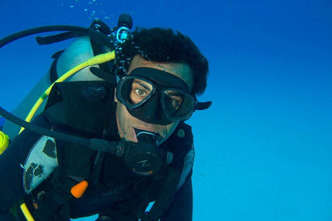 Discover Scuba Diving & Beach Club with Transportation In Riviera Maya - Price, Value, and the Extra Dock Fee Reality