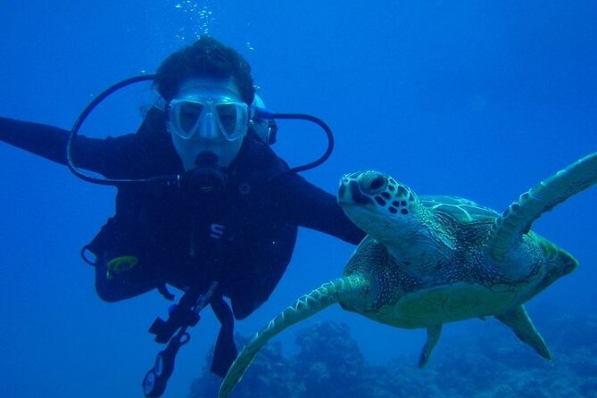 Discover Scuba Diving & Beach Club with Transportation In Riviera Maya - Safety Notes You Should Actually Read